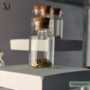 قفل طوطی سایز 3 در وگاس گلد